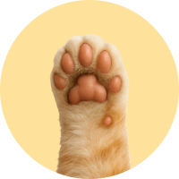 Animais